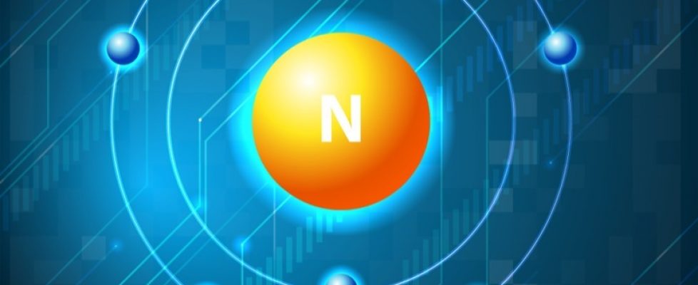 Nitrogen and Muscle Growth