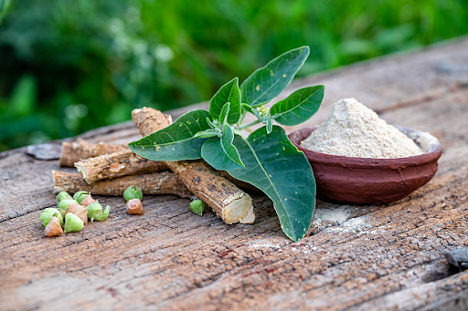 Ashwagandha for Muscle Growth: Benefits, Dosage & Side Effects