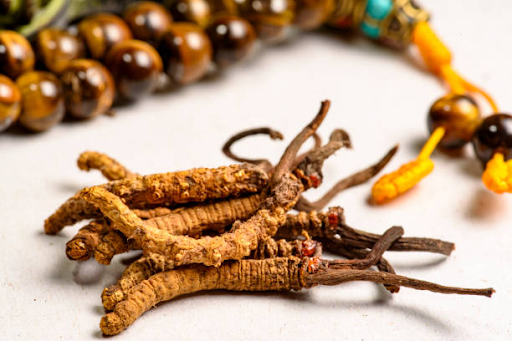 Cordyceps Mushroom Benefits for Endurance and Recovery
